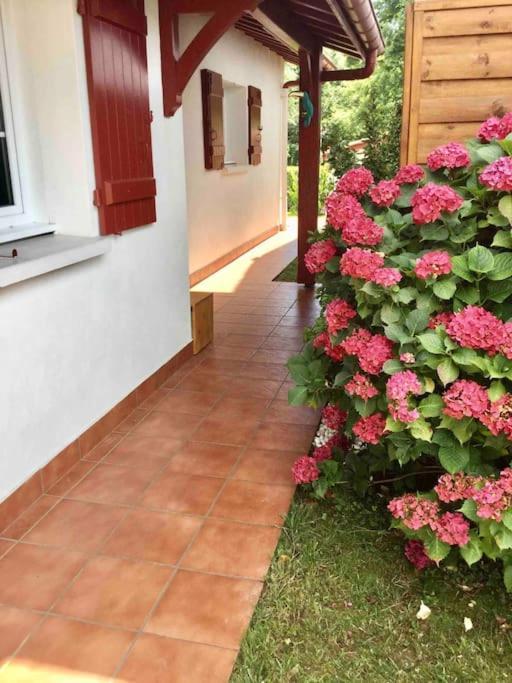 1Km Plage, Agreable Maison 6 Pers Classee 3* Hendaye Εξωτερικό φωτογραφία